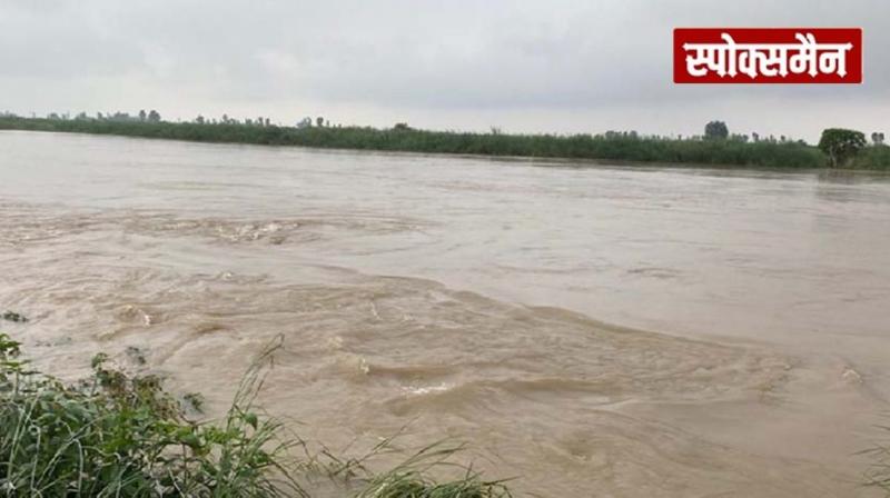 Flood threat increases in Punjab News in Hindi 