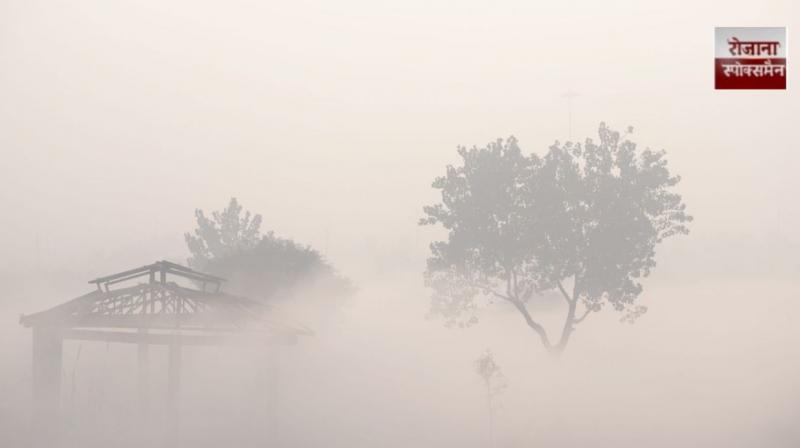 Punjab Weather Update: Cold wave to increase in Punjab