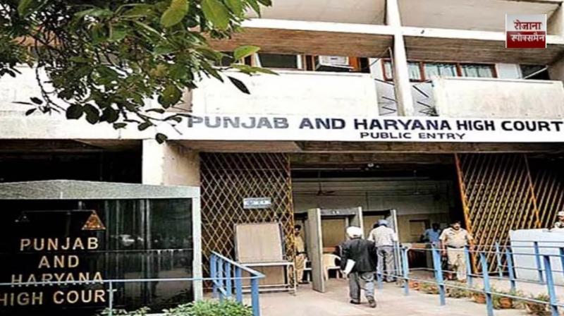 Punjab's RC-DL backlog cleared: Government says 4.34 lakh files were stuck after previous vendor withdrew