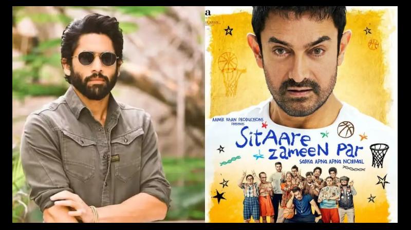 Naga Chaitanya reacted to the trailer of Aamir Khan starrer 'Sitare Zameen Par' news in hindi Naga Chaitanya reacted to the trailer of Aamir Khan starrer 'Sitare Zameen Par' news in hindi