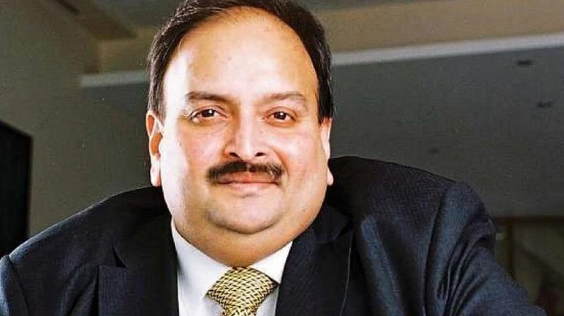 Who is Mehul Choksi? News in hindi