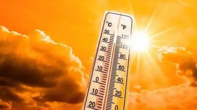 Punjab Weather Update 21 April News In Hindi