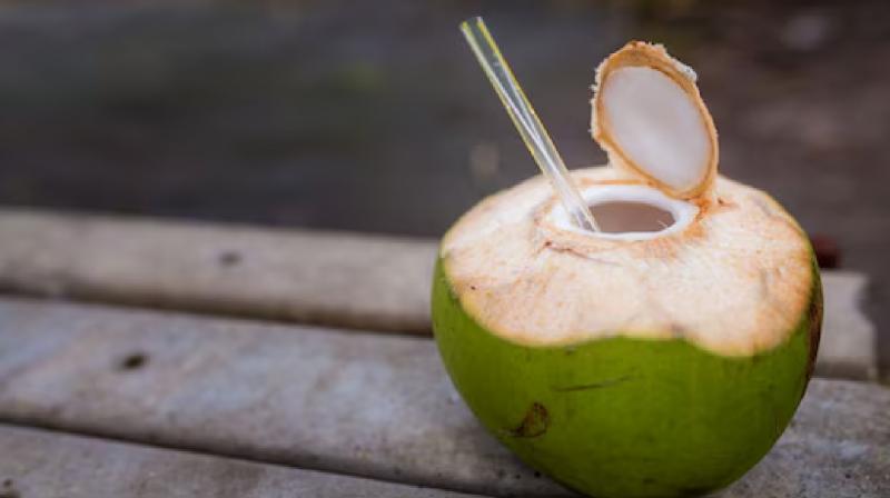 Coconut Water Morning benefits for health News In Hindi