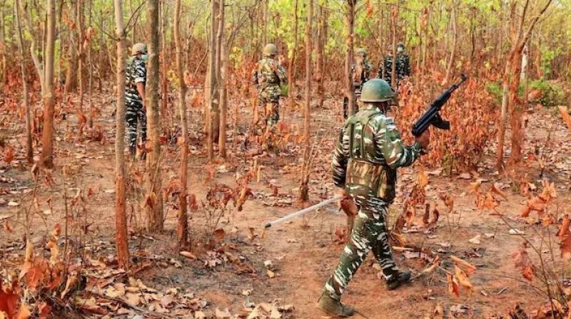 Jharkhand Encounter Six Naxalites killed News In Hindi Jharkhand Encounter Six Naxalites killed News In Hindi