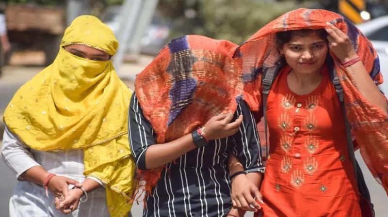 Punjab Weather Update heatwave warning Latest News In Hindi