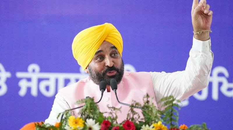 Punjab Launches Anti-Drug Campaign CM Bhagwant Mann News In Hindi