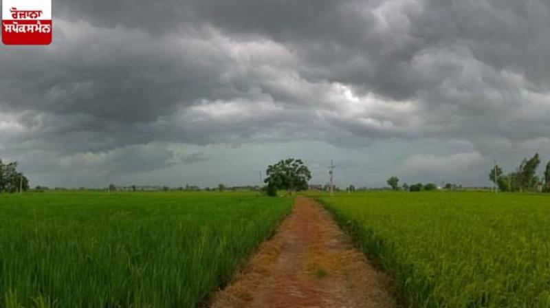 Punjab Weather Update Today News In Hindi