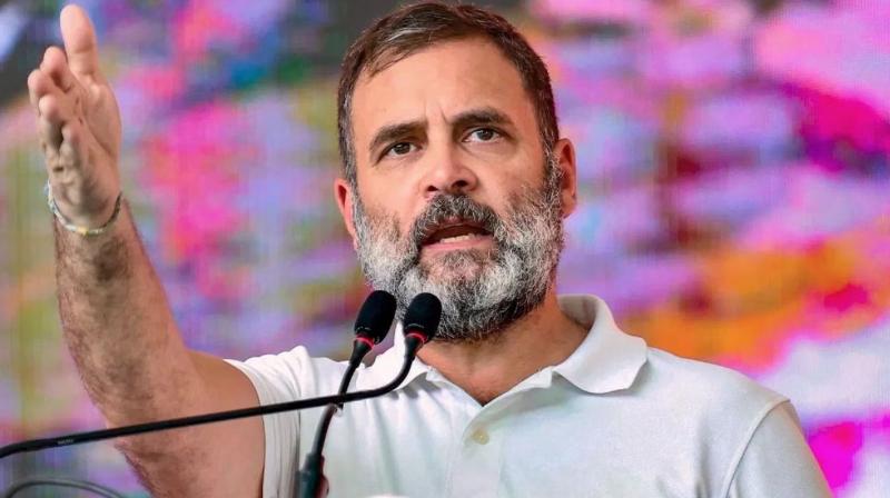 Rahul Gandhi Haryana Chandigarh Visit News In Hindi Rahul Gandhi Haryana Chandigarh Visit News In Hindi