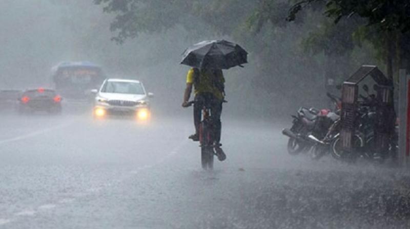 Rain alert in many districts of punjab news in hindi 