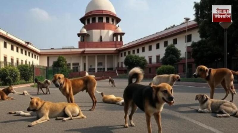 Supreme Court Summons Chief Secretaries of All States for Ignoring Orders on Stray Dog Control news in hindi