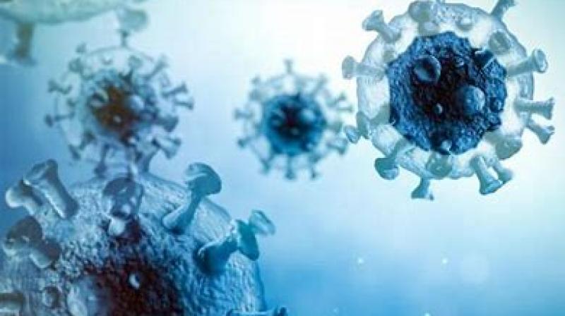 After Corona, now 48,500 years old zombie virus found in Russia, fear of big danger