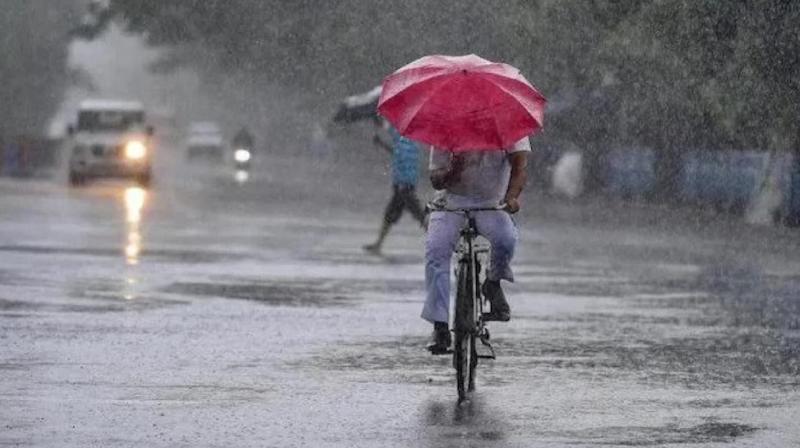 Gujarat Weather Clouds are raining in many areas of the state heavy rain tomorrow also, know forecast for next two days
