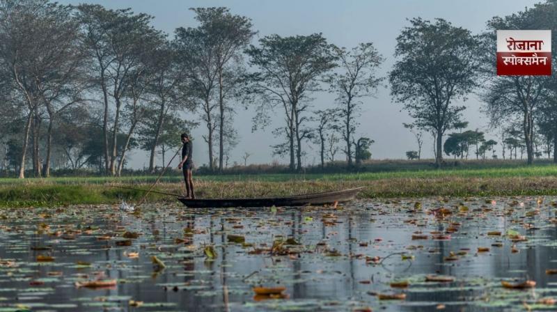 Fish farming is now underway in Bihar on 1,933 hectares of low-lying land