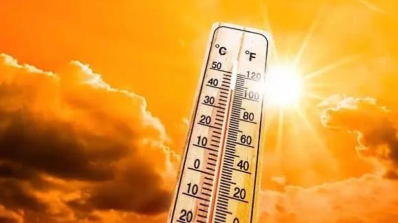 Punjab Weather Update 17 March News In Hindi Punjab Weather Update 17 March News In Hindi