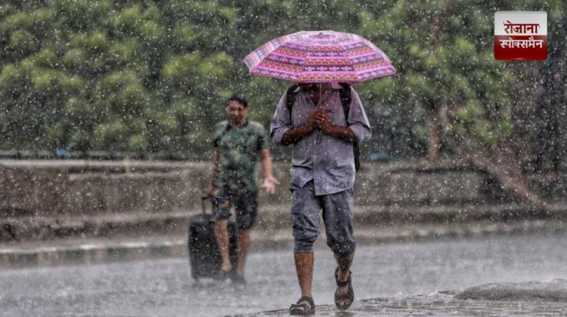 Light rain in some parts of Punjab news in hindi 