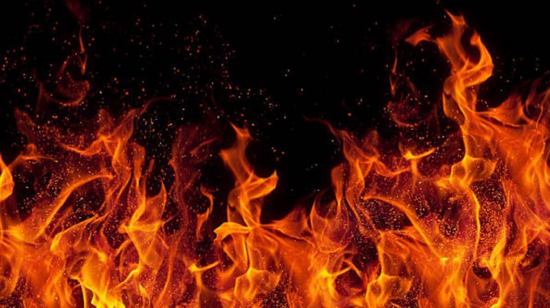 450 chickens died in a fire at a poultry farm in Una Himachal Pradesh 450 chickens died in a fire at a poultry farm in Una Himachal Pradesh