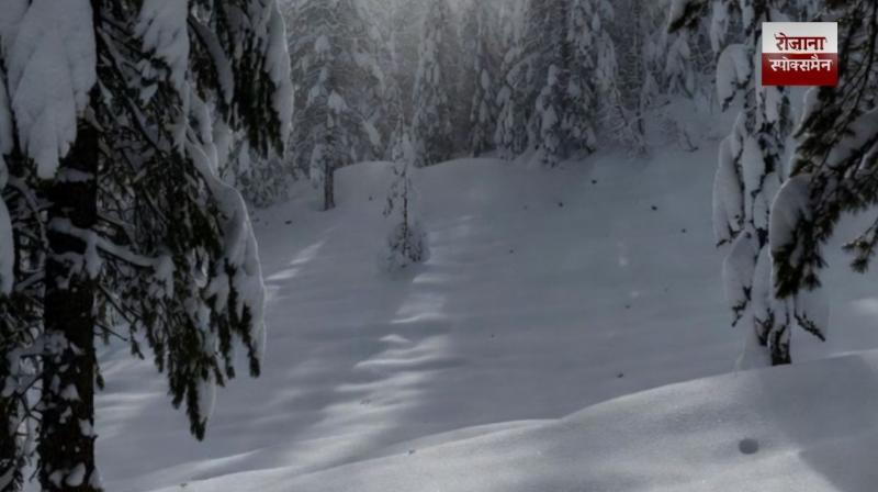 Heavy rain and snowfall alert issued in Uttarakhand