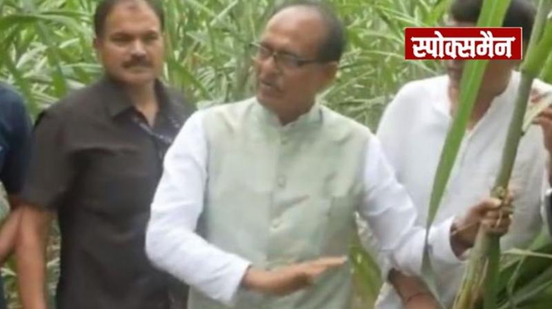 Union Agriculture Minister Shivraj Chauhan blamed illegal mining for the floods news in hindi 