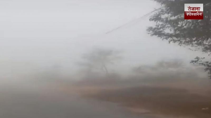 The IMD has issued cold wave and dense fog warnings in punjab