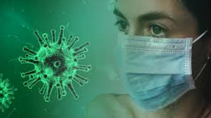 Covid19 Update 119 cases of corona virus reported in Gujarat 105 in Maharashtra News In Hindi Covid19 Update 119 cases of corona virus reported in Gujarat 105 in Maharashtra News In Hindi