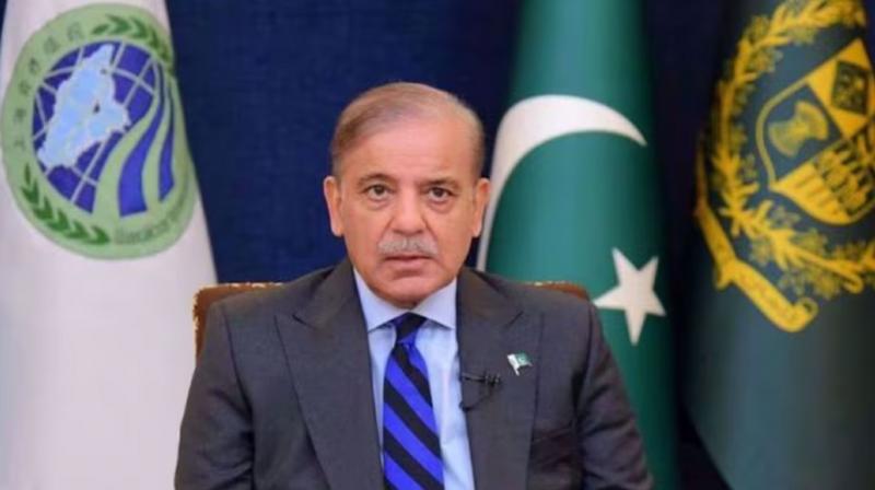 Pakistan PM Shahbaz Sharif offers talks with India for 'peace' News In Hindi Pakistan PM Shahbaz Sharif offers talks with India for 'peace' News In Hindi