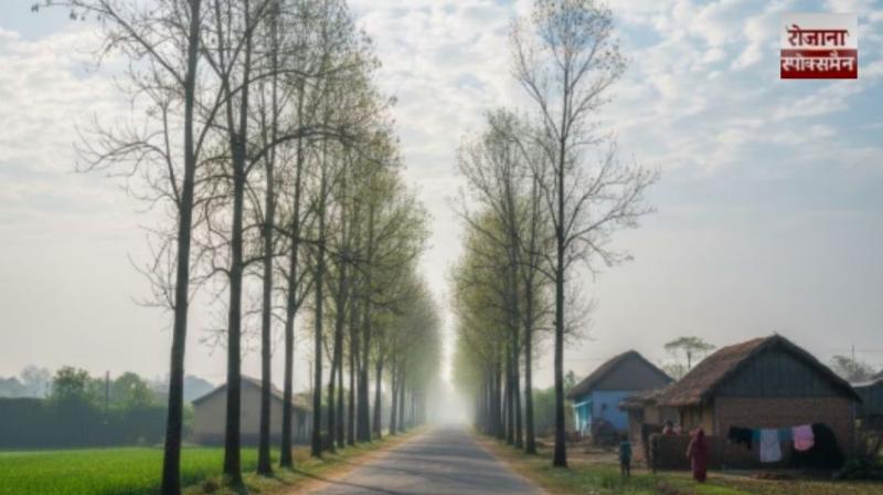 Meteorological Department issues 48-hour yellow alert in punjab