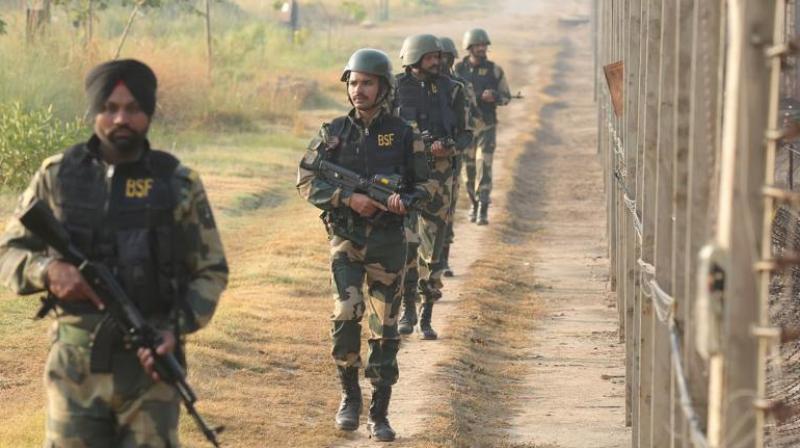 BSF eliminated a Pakistani intruder in Punjab Ferozepur sector News In Hindi