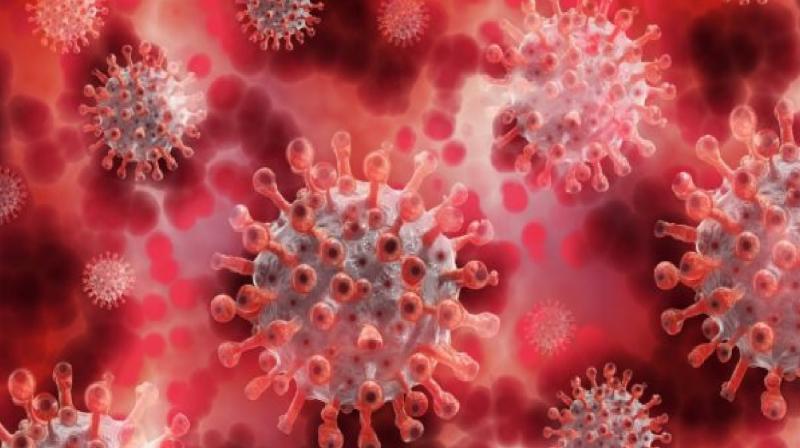 Punjab Coronavirus Second death latest news in hindi Punjab Coronavirus Second death latest news in hindi