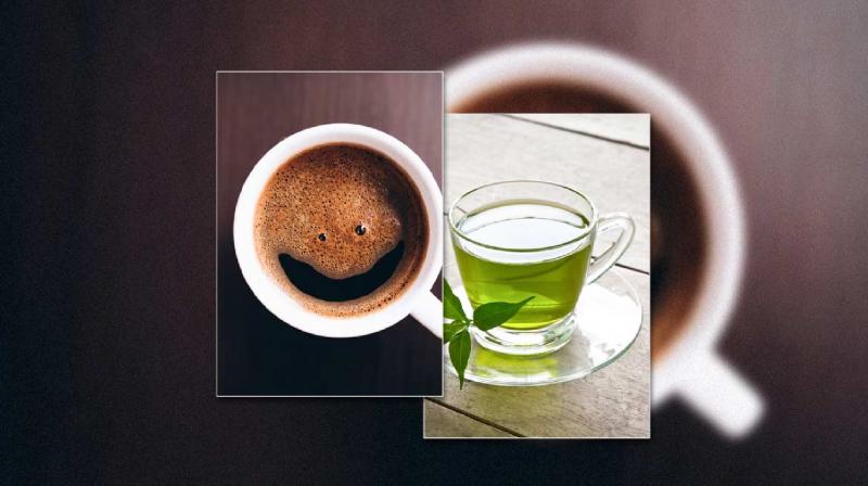 Black Coffee or Green Tea which one is better for health News In Hindi