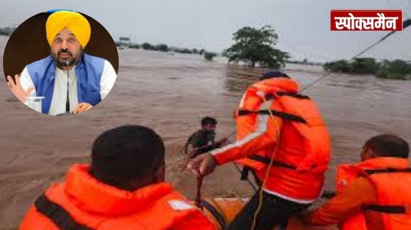 CM Mann announced the appointment of officers in flood-affected villages news in hindi 