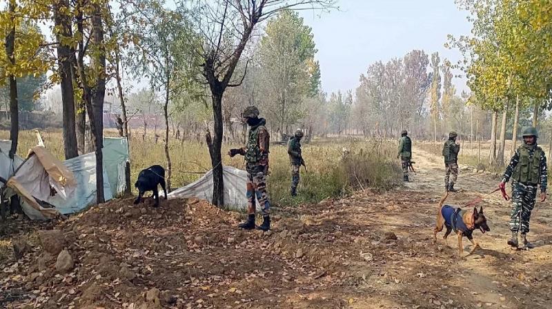 11 militants arrested from four districts of Manipur news in hindi