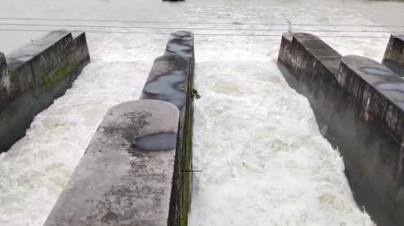 Pong Dam water level close to danger mark news in hindi