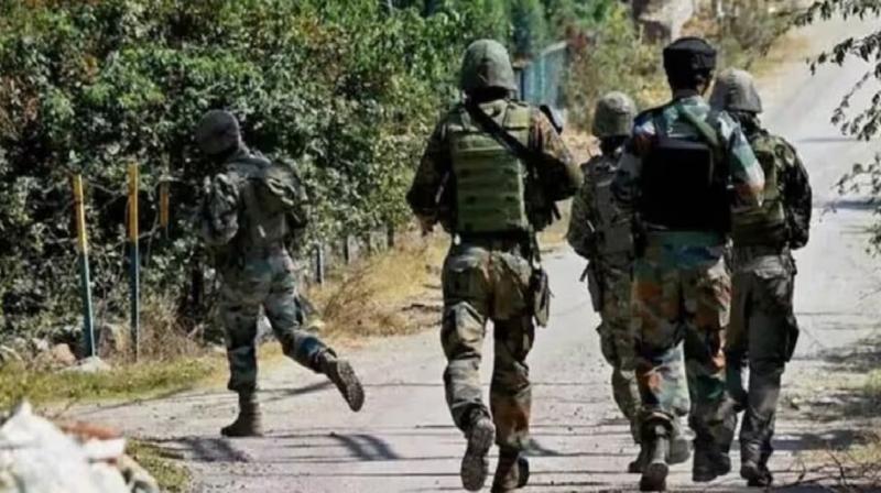 12 Tourists Injured In Terrorist Attack In Pahalgam, Jammu And Kashmir News In Hindi