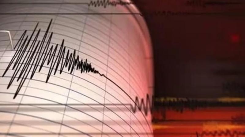 Pakistan Earthquake 4.2 magnitude News in Hindi