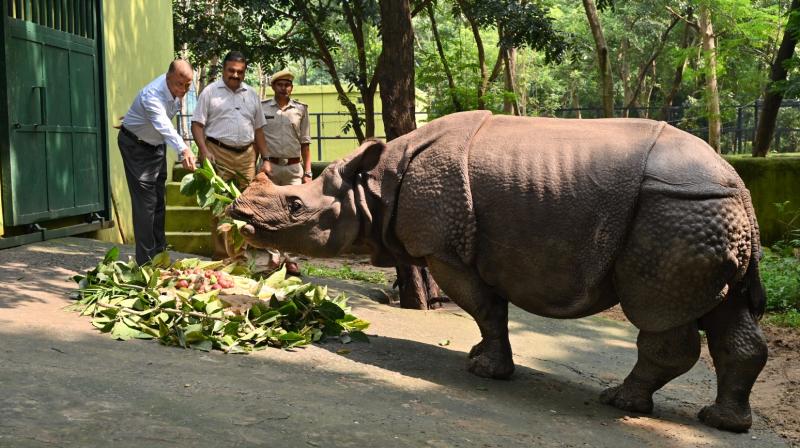 Patna Zoo becomes the center of rhino conservation, second in the world news in hindi