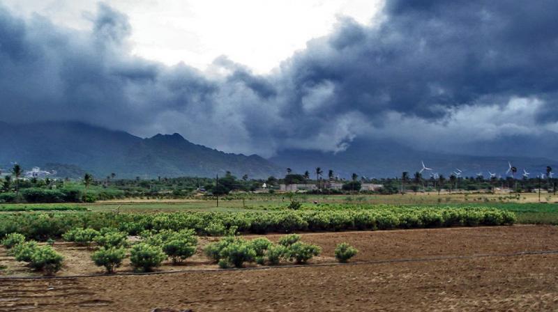 Monsoon is expected to reach Kerala in 5 days imd news in hindi Monsoon is expected to reach Kerala in 5 days imd news in hindi