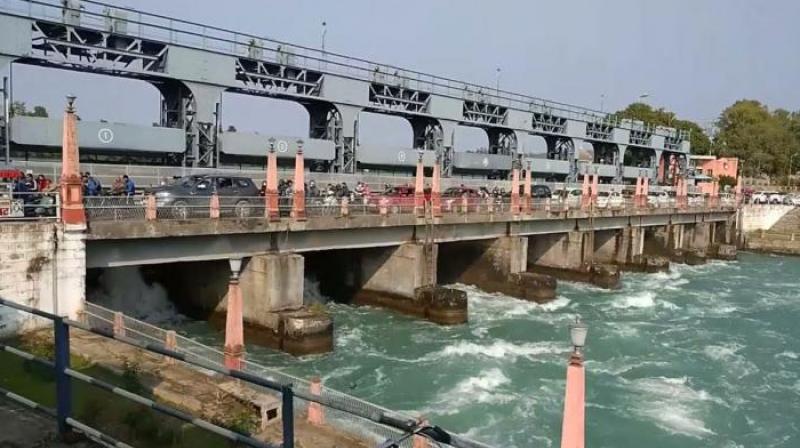 Nangal Dam safety is in danger Bhakra Dam Chief Engineer letter news in hindi Nangal Dam safety is in danger Bhakra Dam Chief Engineer letter news in hindi