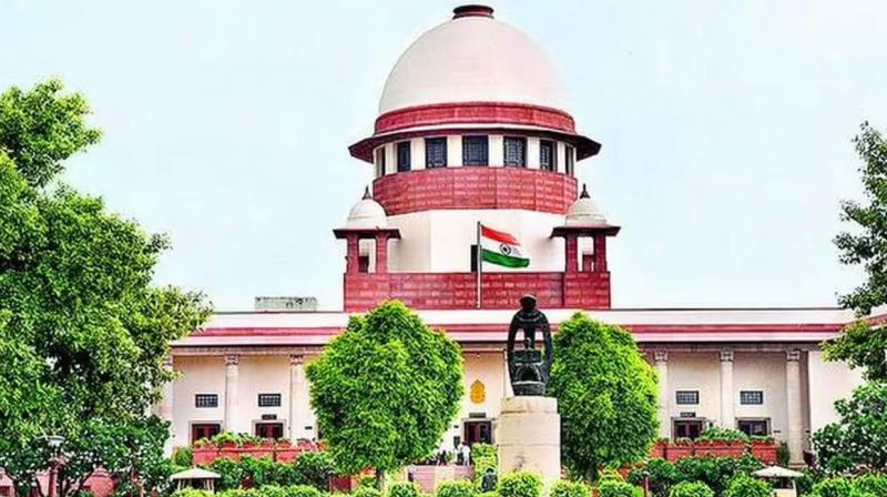 SC big comment on floods in North Indian states illegal tree cutting news in hindi
