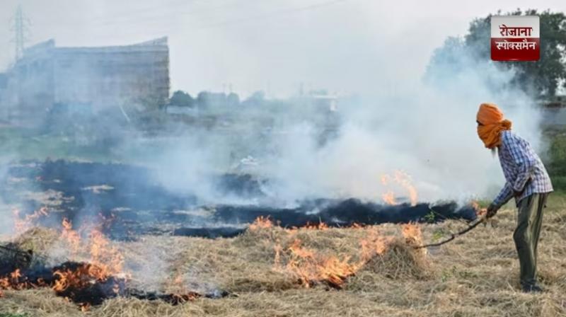 The Supreme Court directed strict action against stubble burning in Delhi-NCR news in hindi 