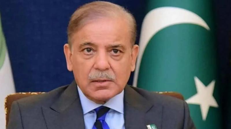 Pakistan is seeking loan from international partners News In Hindi