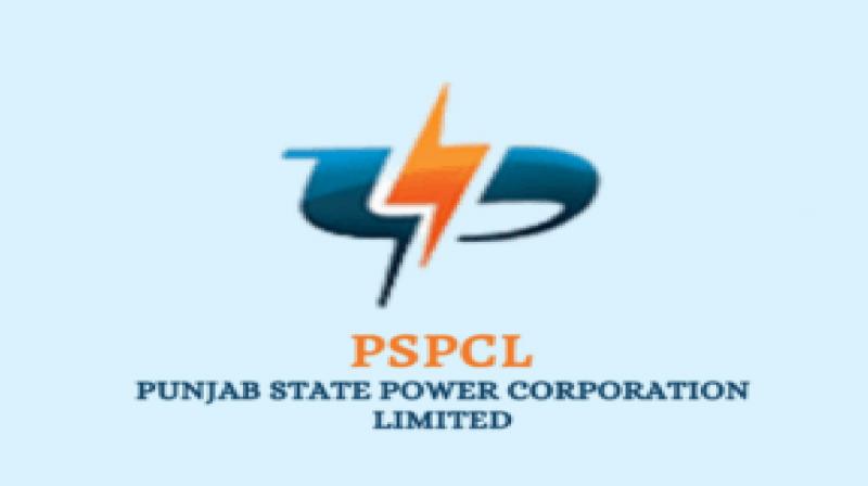 Allegations On Punjab State Power Corporation Limited Cag Report News In Hindi