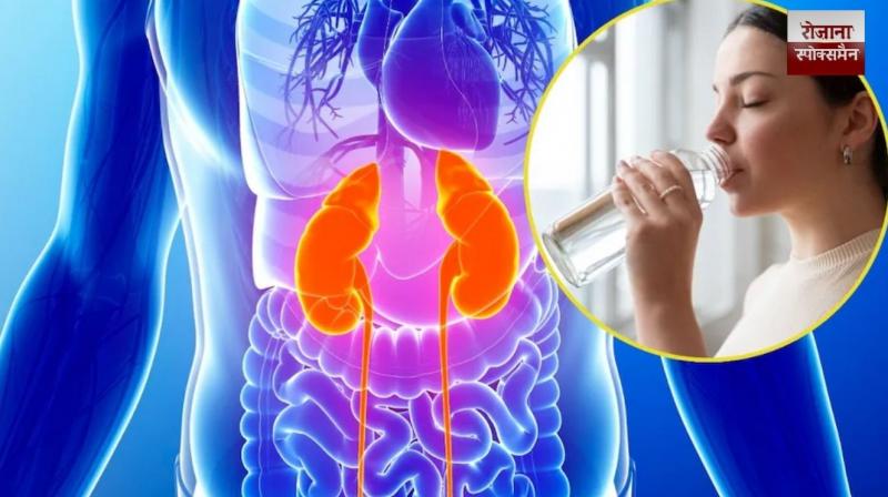 Dehydration can increase the risk of kidney damage