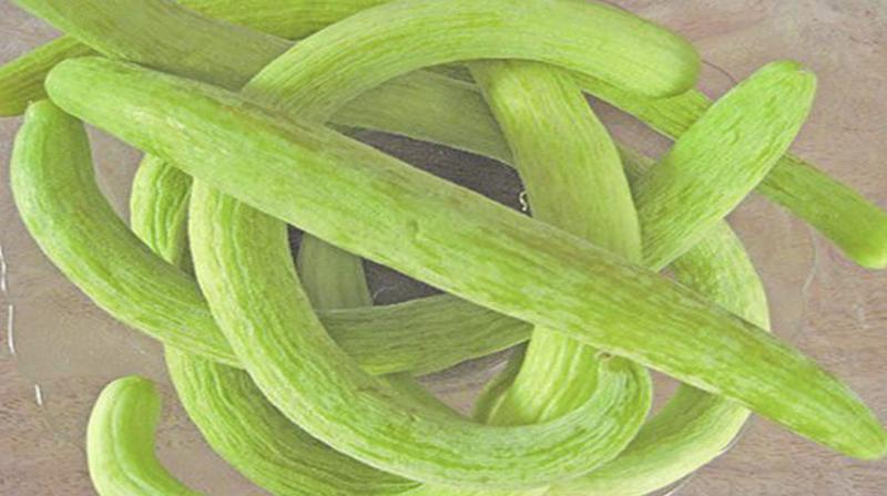 There are amazing benefits of eating cucumber in summer There are amazing benefits of eating cucumber in summer
