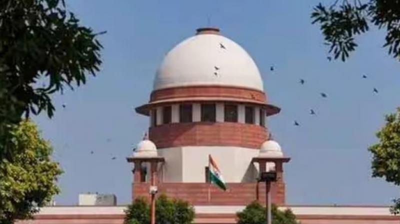 2020 Delhi Riots: Court dismisses Delhi Police's plea