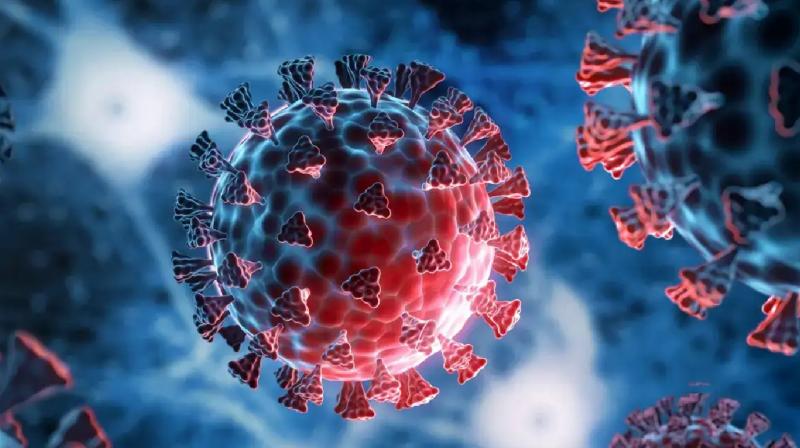 The total number of COVID-19 cases in India rises to 1,009 news In hindi The total number of COVID-19 cases in India rises to 1,009 news In hindi