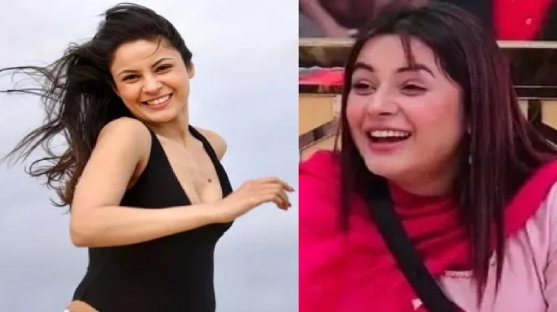 How Shehnaaz Gill lost 12 kilos in 6 months news in hindi How Shehnaaz Gill lost 12 kilos in 6 months news in hindi