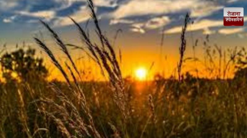 Weather changes in Punjab news in hindi 