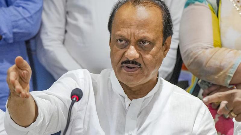 NCP will fight strongly in the 2025 assembly elections Patna News in hindi