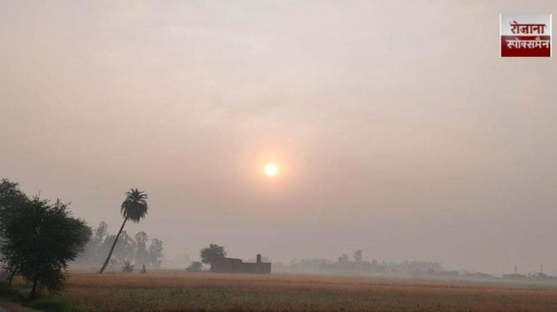 Cold winds begin to affect Punjab news in hindi 