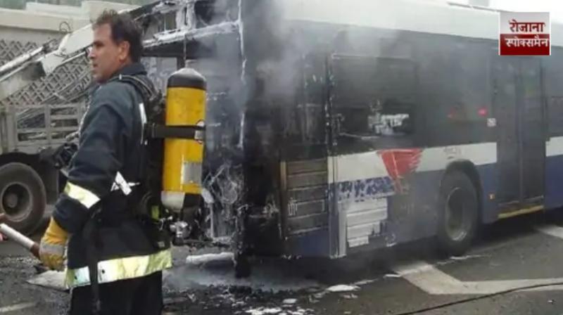 42 Indians killed as bus travelling from Mecca to Medina collides with diesel tanker news in hindi